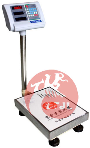 TCS-D3 固定式支架電子臺秤
