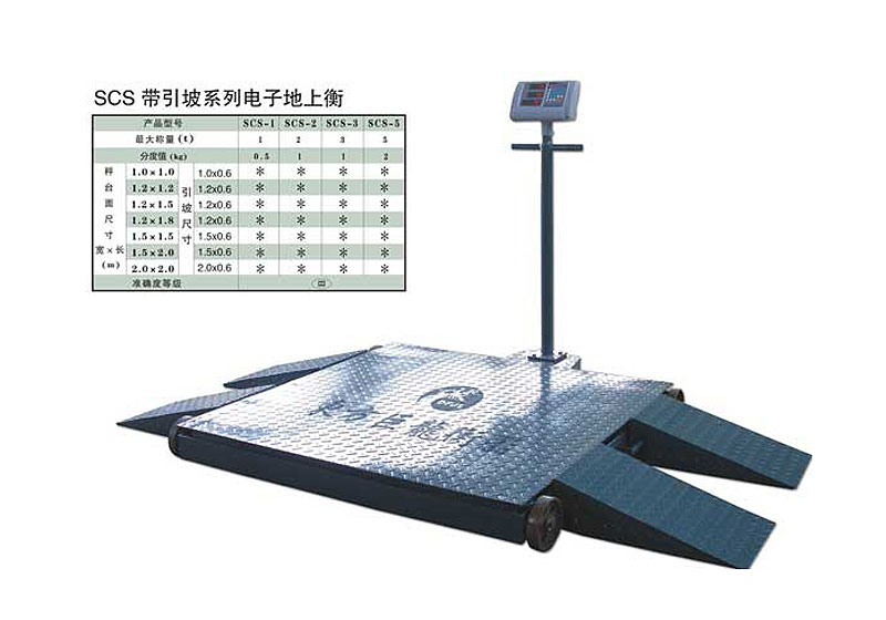 金華市東方巨龍衡器有限公司供應電子地上衡