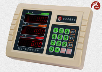 平臺(tái)秤儀表1-1